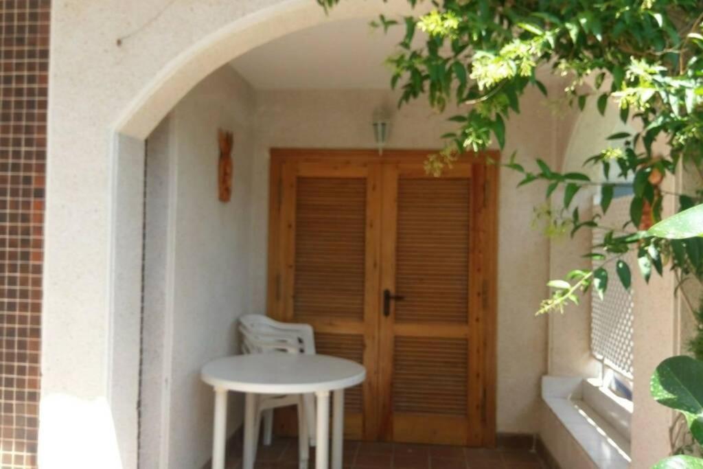 La Casa De La Palmera Apartment Torrevieja Ngoại thất bức ảnh