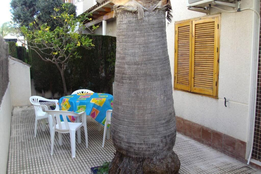 La Casa De La Palmera Apartment Torrevieja Ngoại thất bức ảnh
