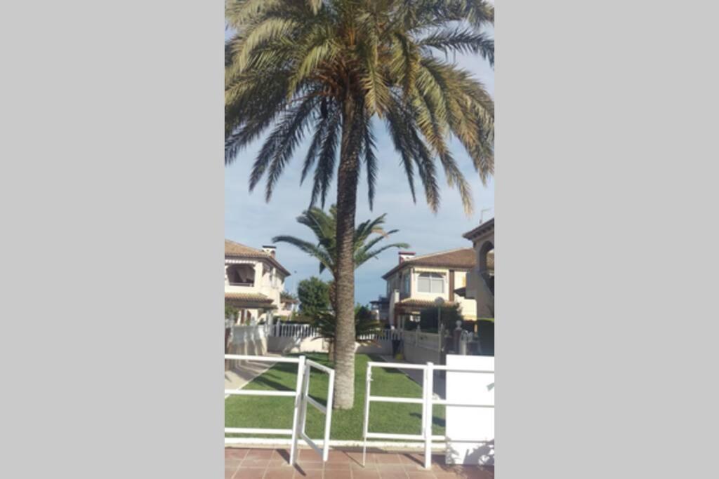 La Casa De La Palmera Apartment Torrevieja Ngoại thất bức ảnh