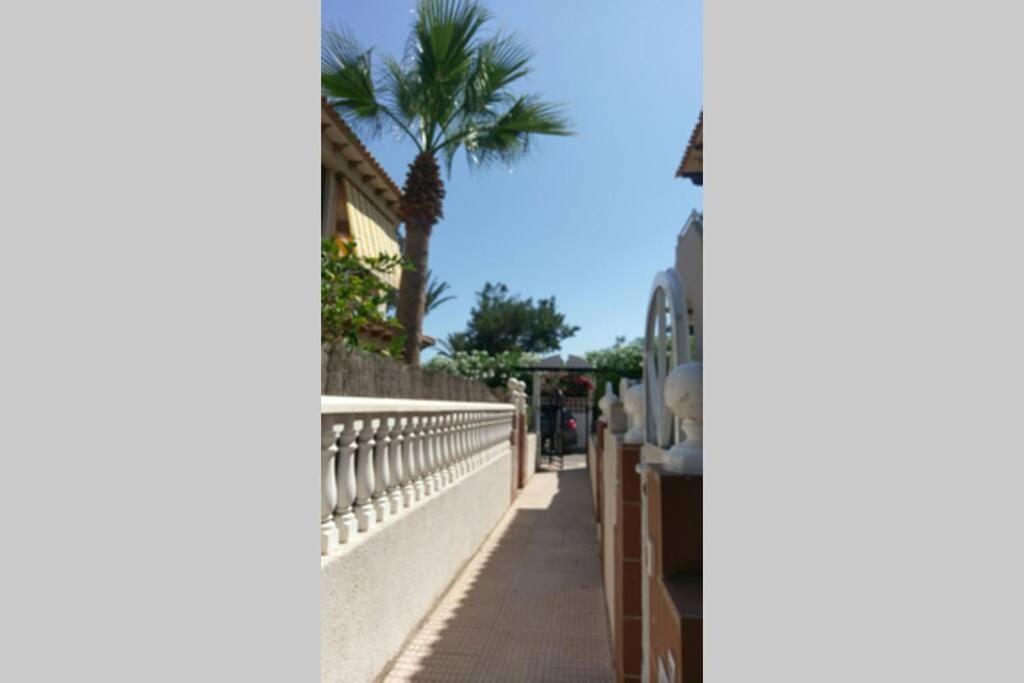 La Casa De La Palmera Apartment Torrevieja Ngoại thất bức ảnh