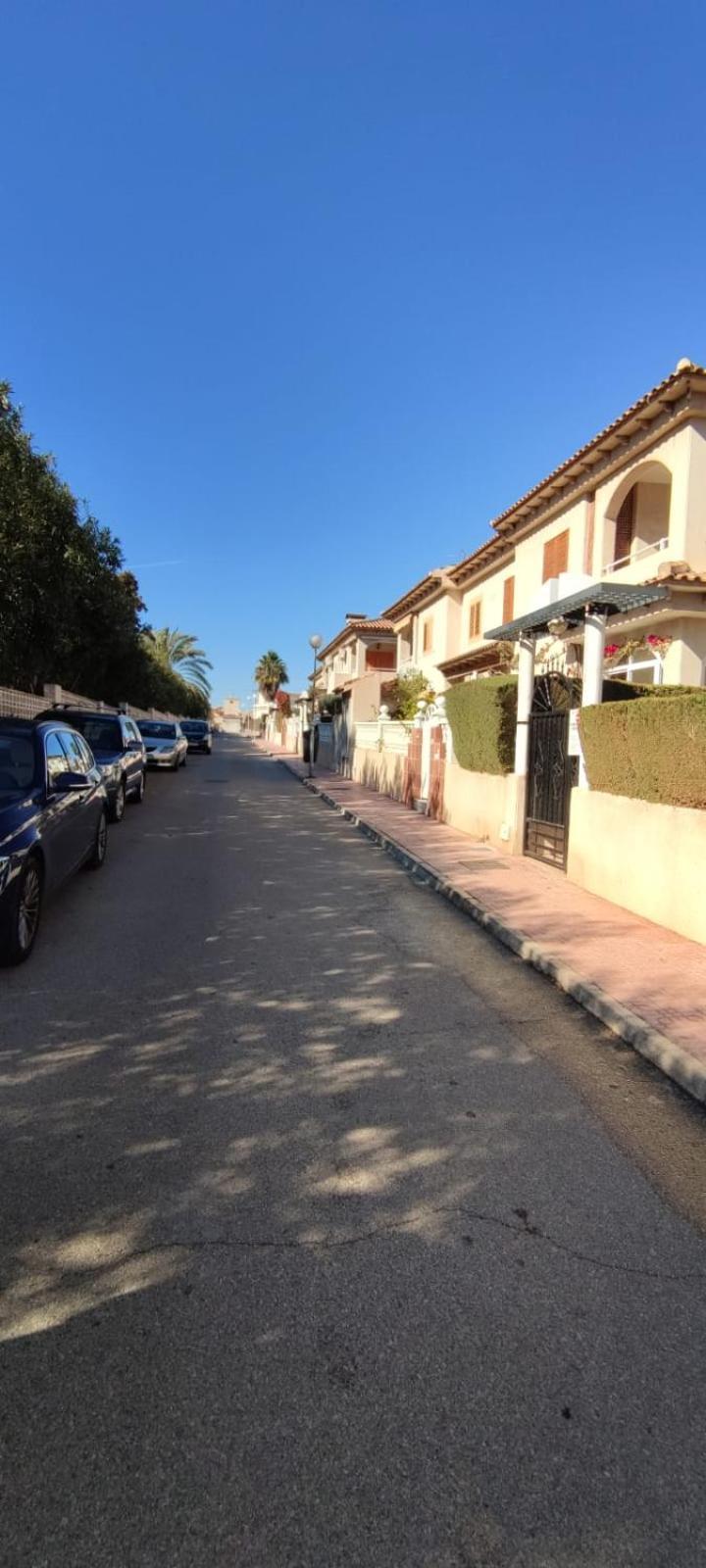 La Casa De La Palmera Apartment Torrevieja Ngoại thất bức ảnh